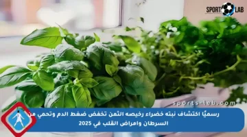 رسميًا اكتشاف نبتة خضراء رخيصة الثمن تخفض ضغط الدم وتحمي من السرطان وأمراض القلب في 2025